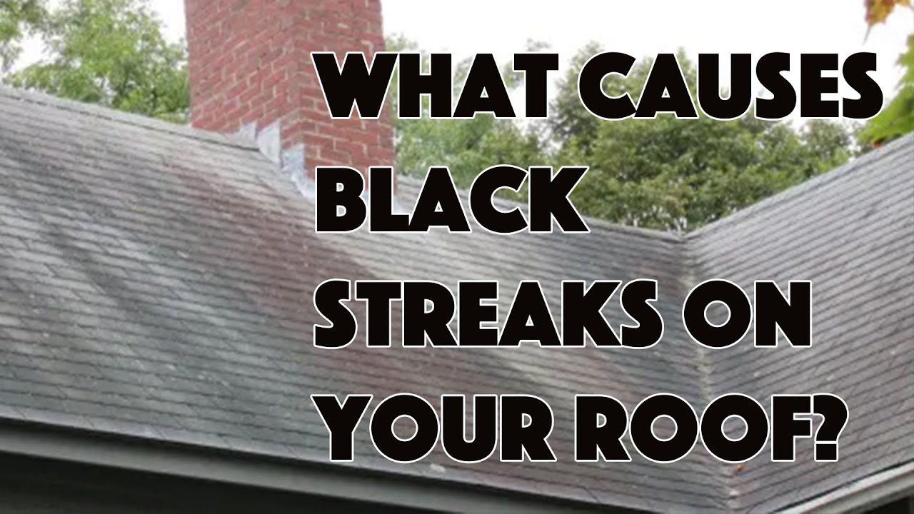 What Are the Causes of Algae on Roofs?