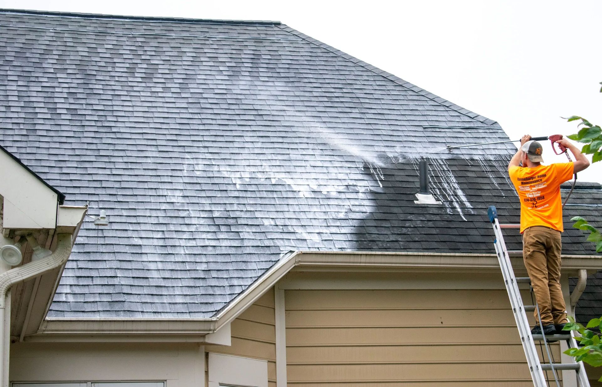 clean algae off roof