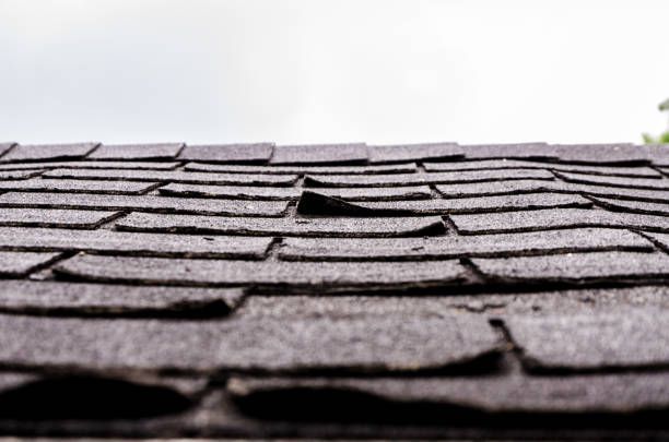 curling shingles 
