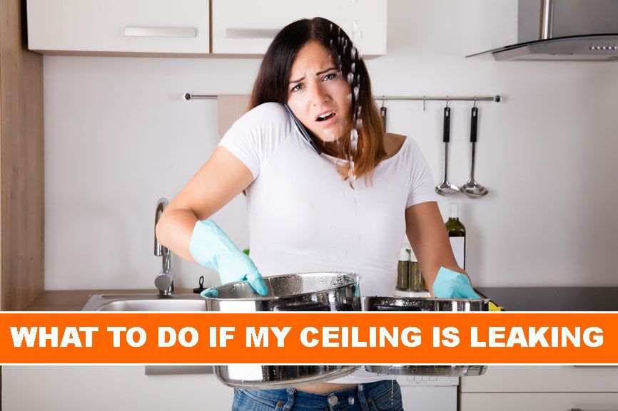 What to do if my roof is leaking