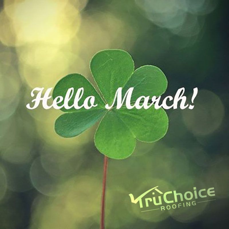 March Roofing Special 1000 Off