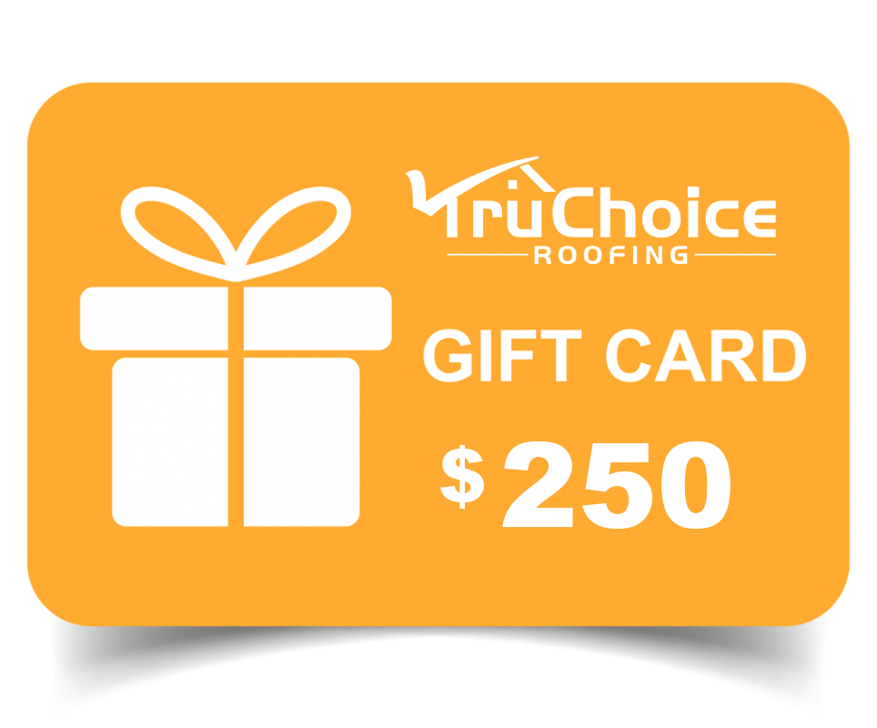 Win a gift card for Christmas