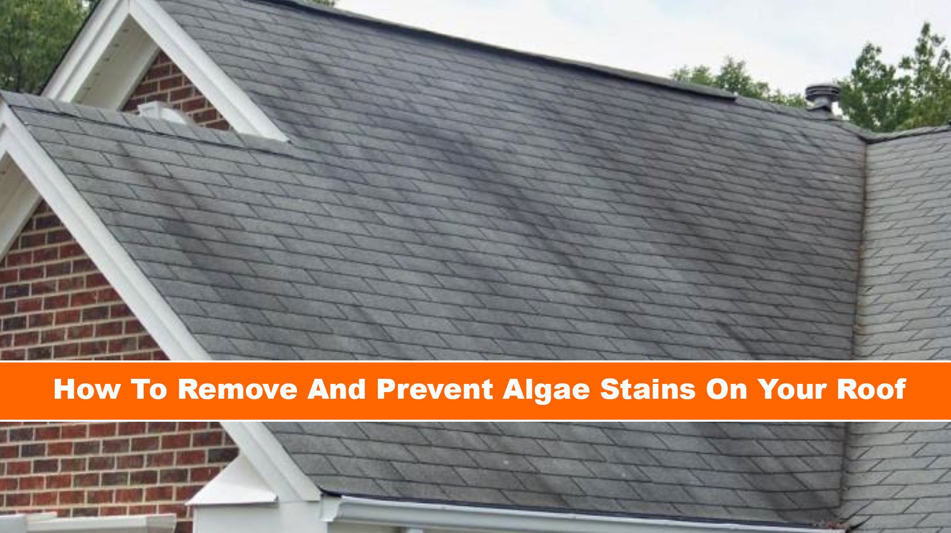 Prevent Algae Stains