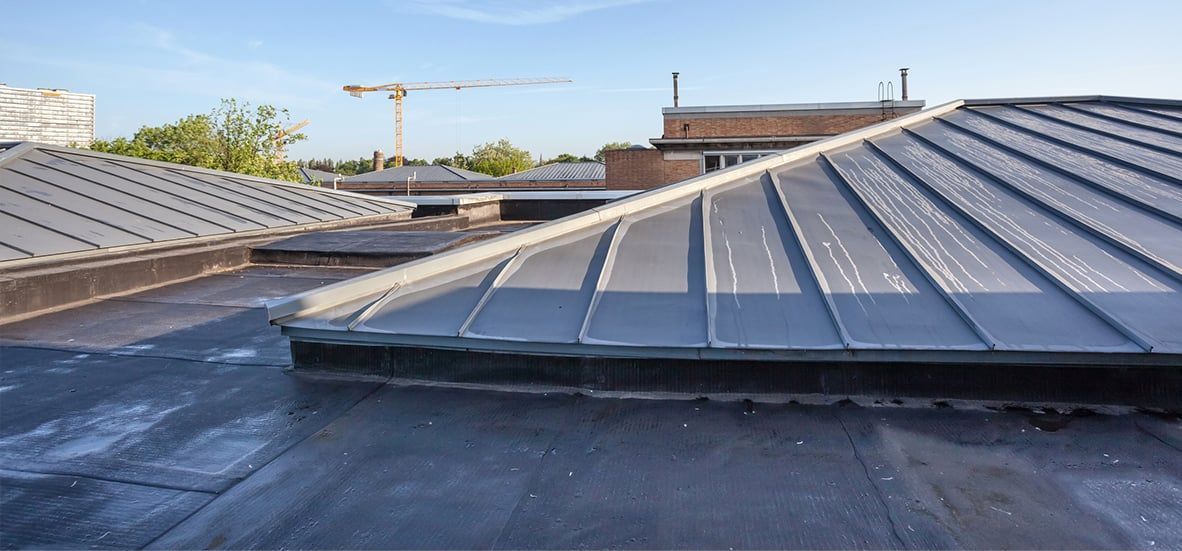 algae on metal roof