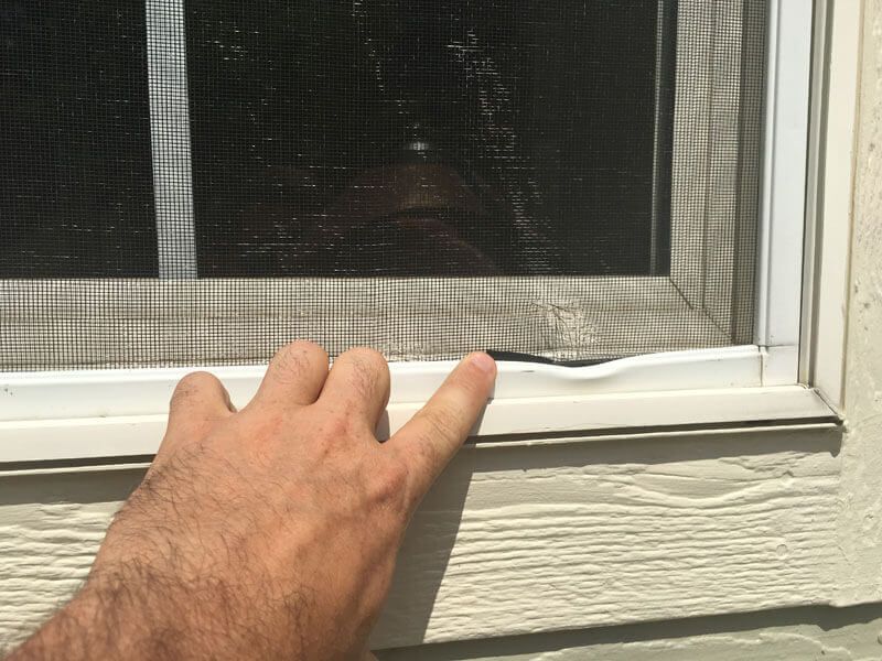 window hail damage