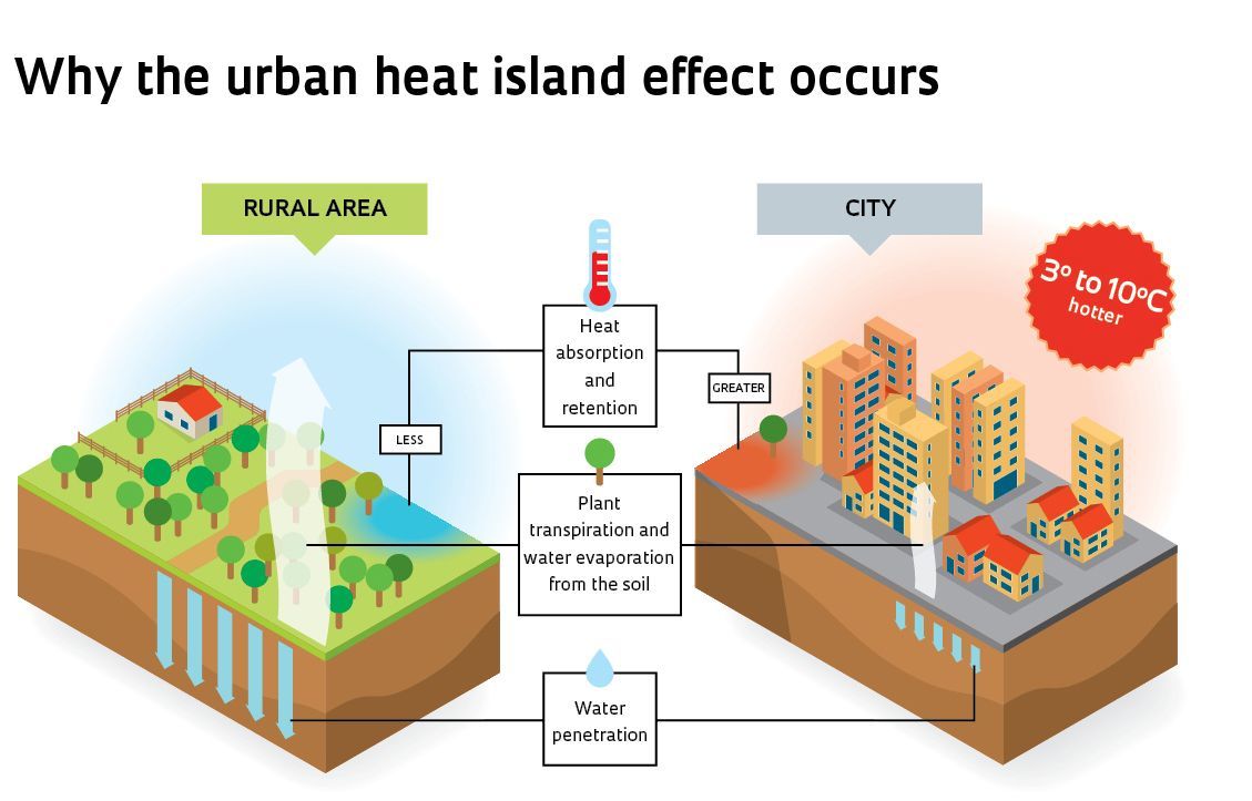 heat island effect