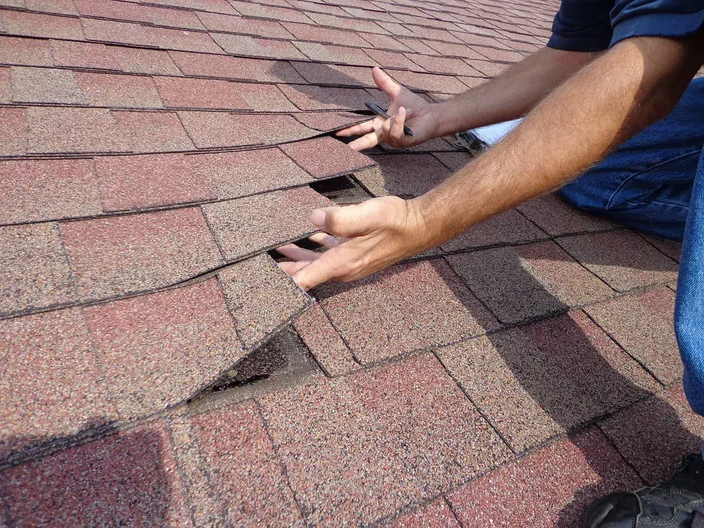 Fall Roof Inspection
