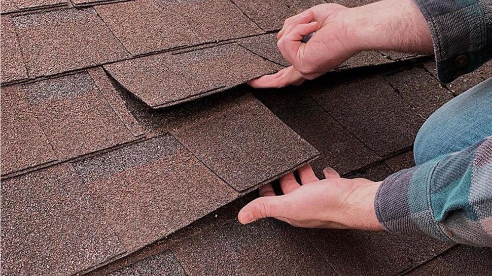 shingle damage after a storm