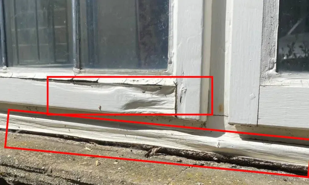 visible damage or decay windows