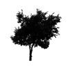 Tree Icon 03 — Saginaw, MI — Jack's Tree Service, Inc. Tree Icon 03 — Saginaw, MI — Jack's Tree Service, Inc.
