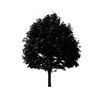 Tree Icon 04 — Saginaw, MI — Jack's Tree Service, Inc. Tree Icon 04 — Saginaw, MI — Jack's Tree Service, Inc.