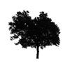 Tree Icon 05 — Saginaw, MI — Jack's Tree Service, Inc. Tree Icon 05 — Saginaw, MI — Jack's Tree Service, Inc.