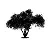 Tree Icon 02 — Saginaw, MI — Jack's Tree Service, Inc. Tree Icon 02 — Saginaw, MI — Jack's Tree Service, Inc.