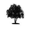 Tree Icon 06 — Saginaw, MI — Jack's Tree Service, Inc. Tree Icon 06 — Saginaw, MI — Jack's Tree Service, Inc.
