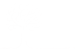White Tree Drawing — Saginaw, MI — Jack's Tree Service, Inc. White Tree Drawing — Saginaw, MI — Jack's Tree Service, Inc.