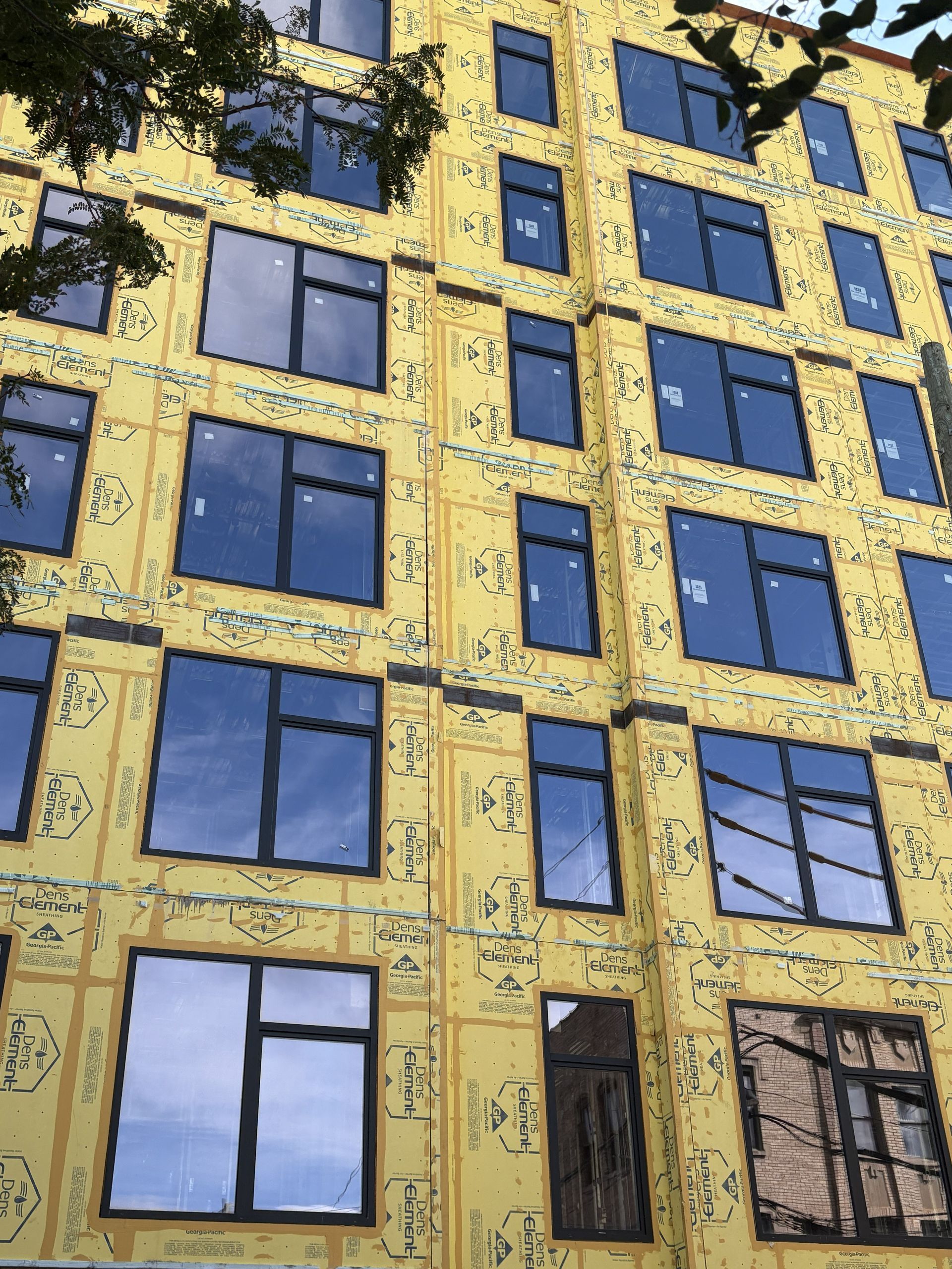 Yellow building facade with blue windows and dark tree branches reflected in the glass.