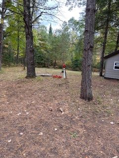 A house is sitting in the middle of a forest next to a fire hydrant.