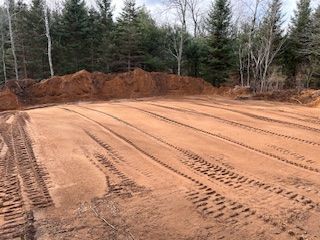 A large pile of dirt is sitting in the middle of a forest.