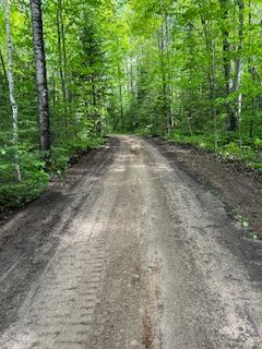 A dirt road going through a forest with trees on both sides.