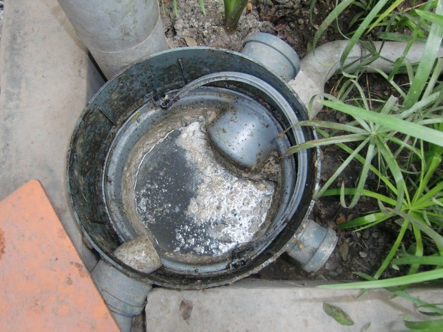A Close Up of a Drain With a Plant in the Background — Proserpine Septic Service In Cannonvale, QLD