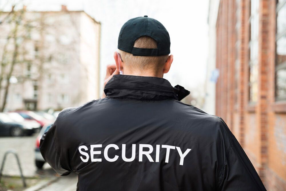 Security Officer — Security Systems in Scone, NSW
