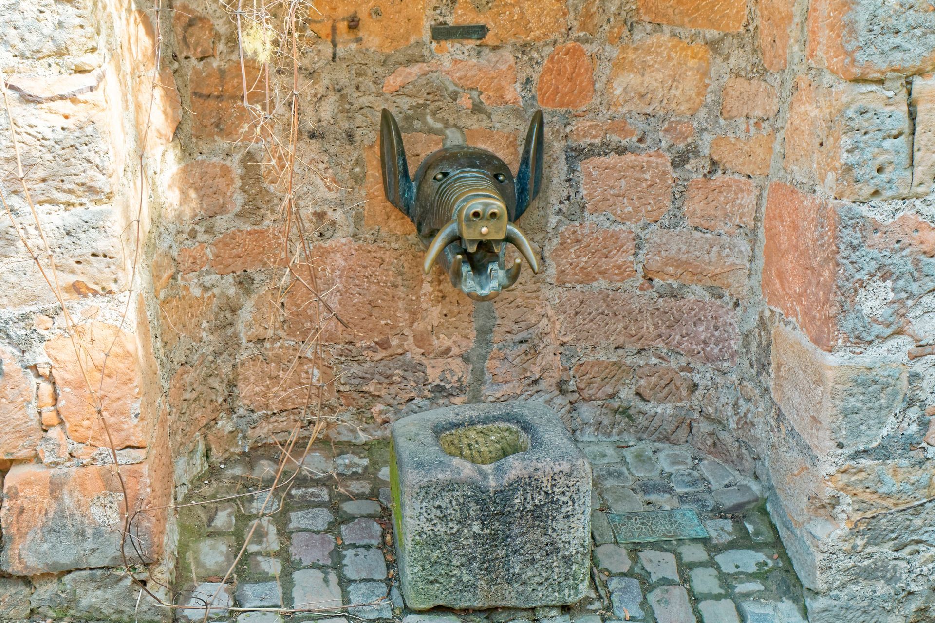 Dried well for drinking water.