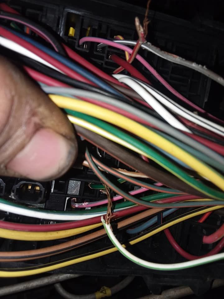 Hand holding a bundle of colorful wires near a fuse box. Wires are frayed.