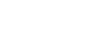 DWT Paints