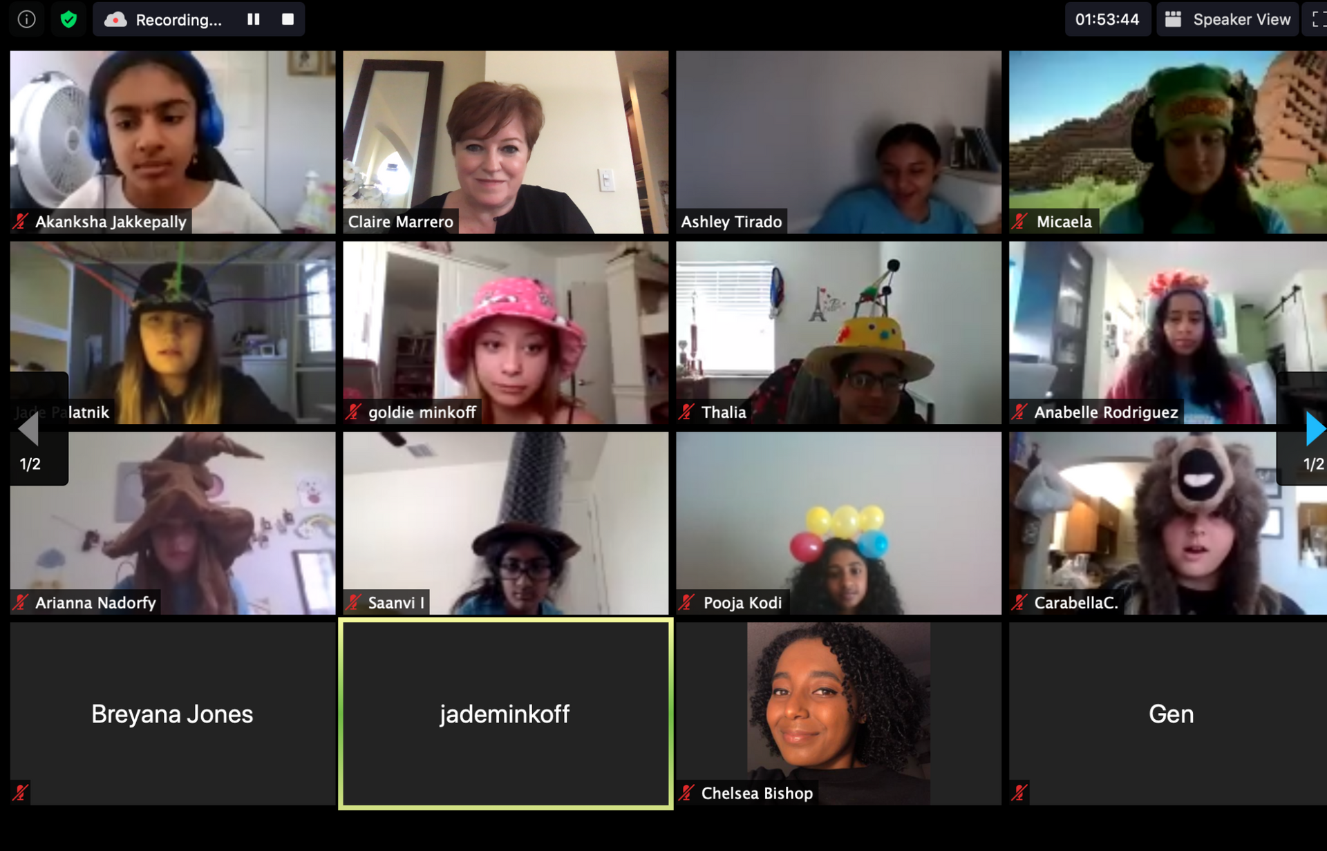 Video call gallery view with many participants wearing colorful hats and costumes, some with cameras off.
