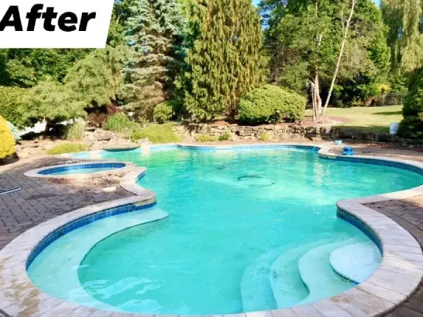 Curved backyard swimming pool with turquoise water, stone deck, and lush trees, labeled “After”