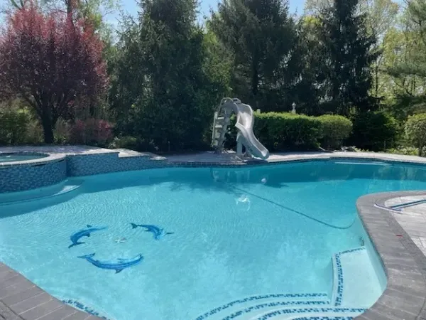 Backyard pool with bright blue water, stone deck, and trees; white slide at the far end