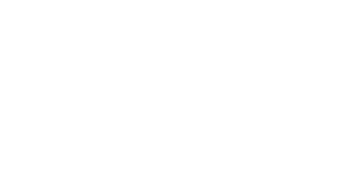 BDG Logo