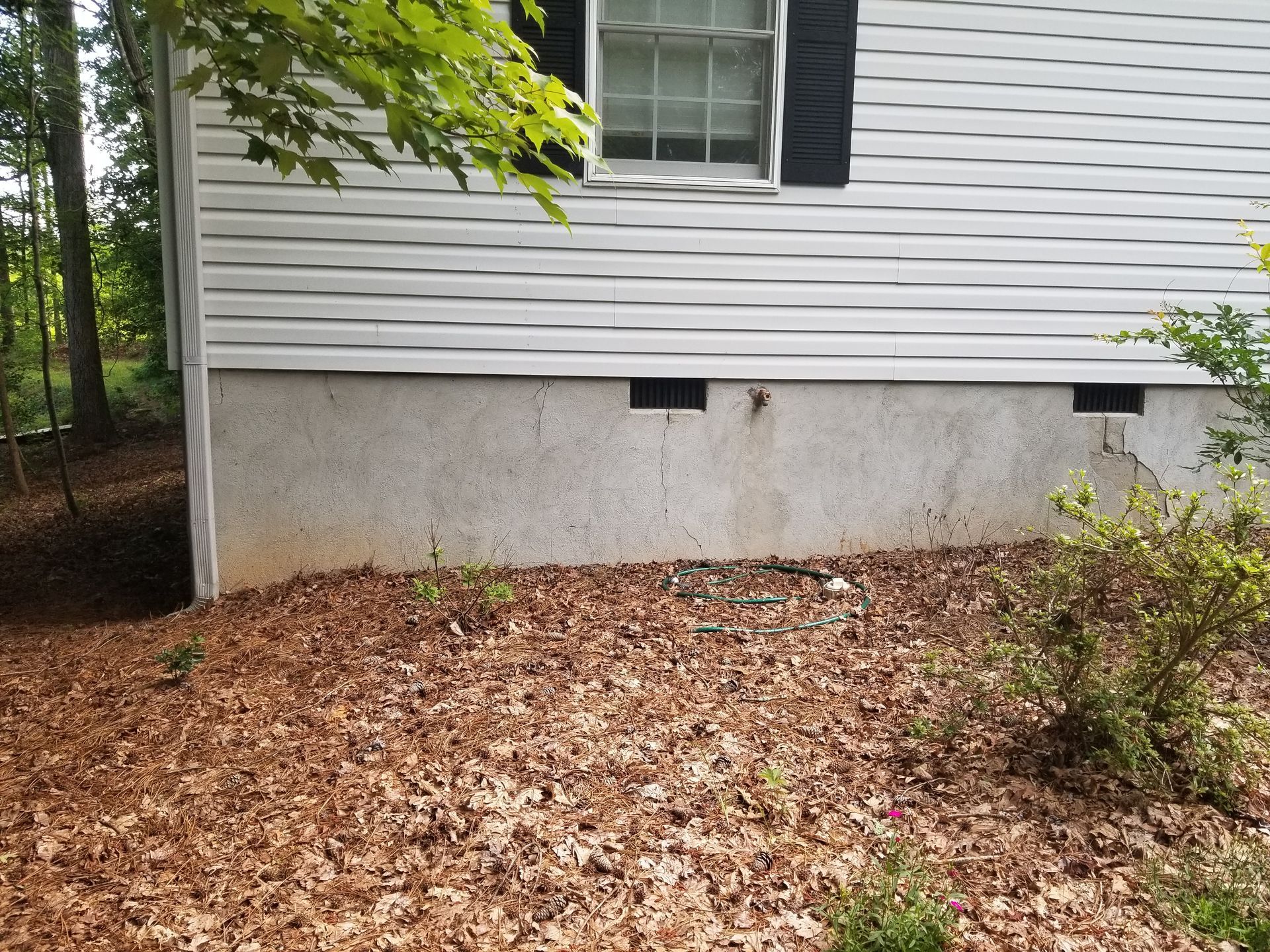 House siding and concrete foundation beside a leaf-covered yard with trees and shrubs
