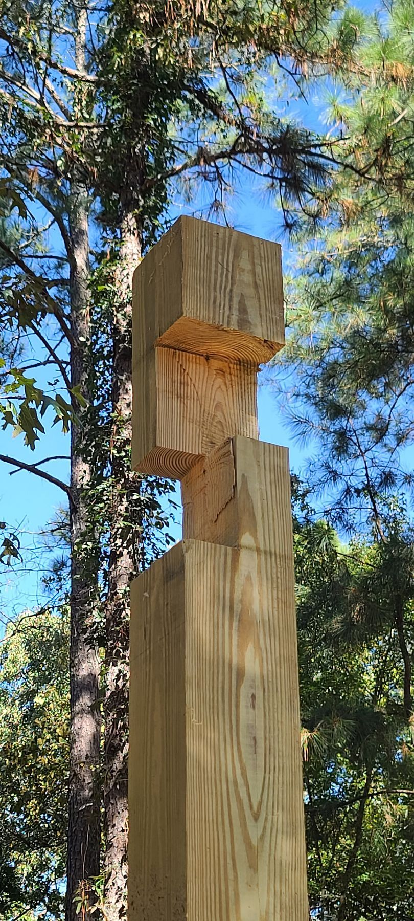 Wooden post with a carved notch standing among tall pine trees outdoors