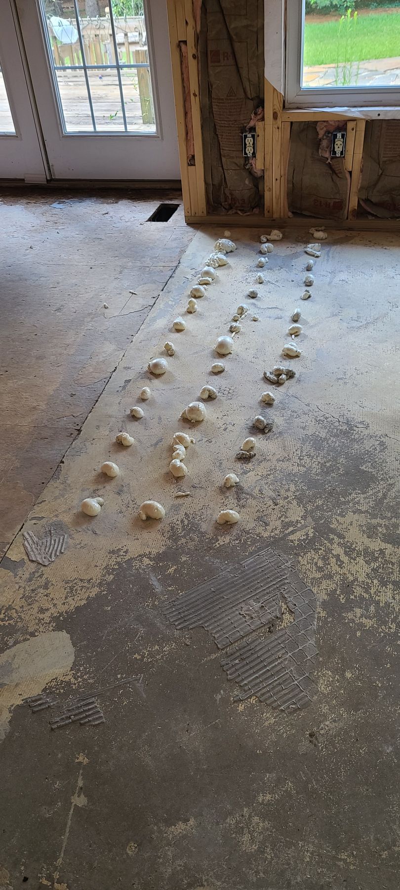 Dusty unfinished floor with rows of small white footprints leading to a doorway