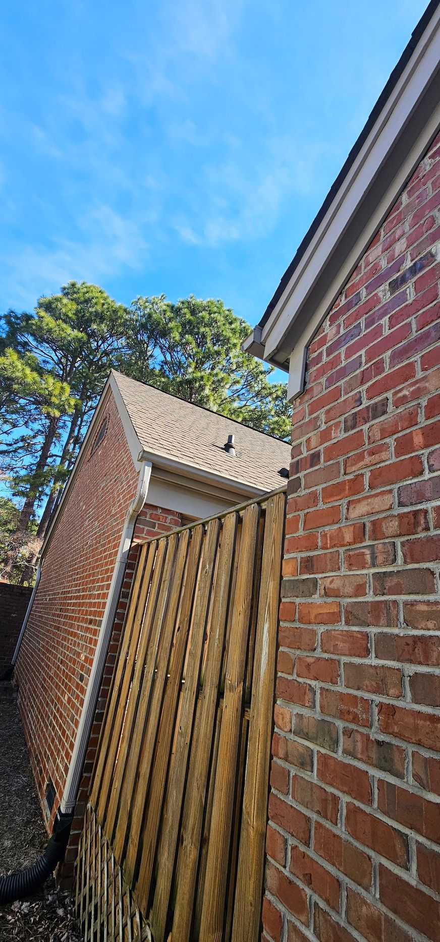 Brick house side yard with wooden fence, blue sky, and a tree in the background