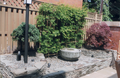 A garden bed with a stone border, containing several bushes, a bird bath, and a Japanese maple.