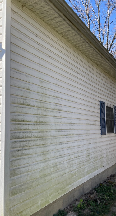 Before House Siding Washing — Cincinnati, OH — Cruz Pressure Washing