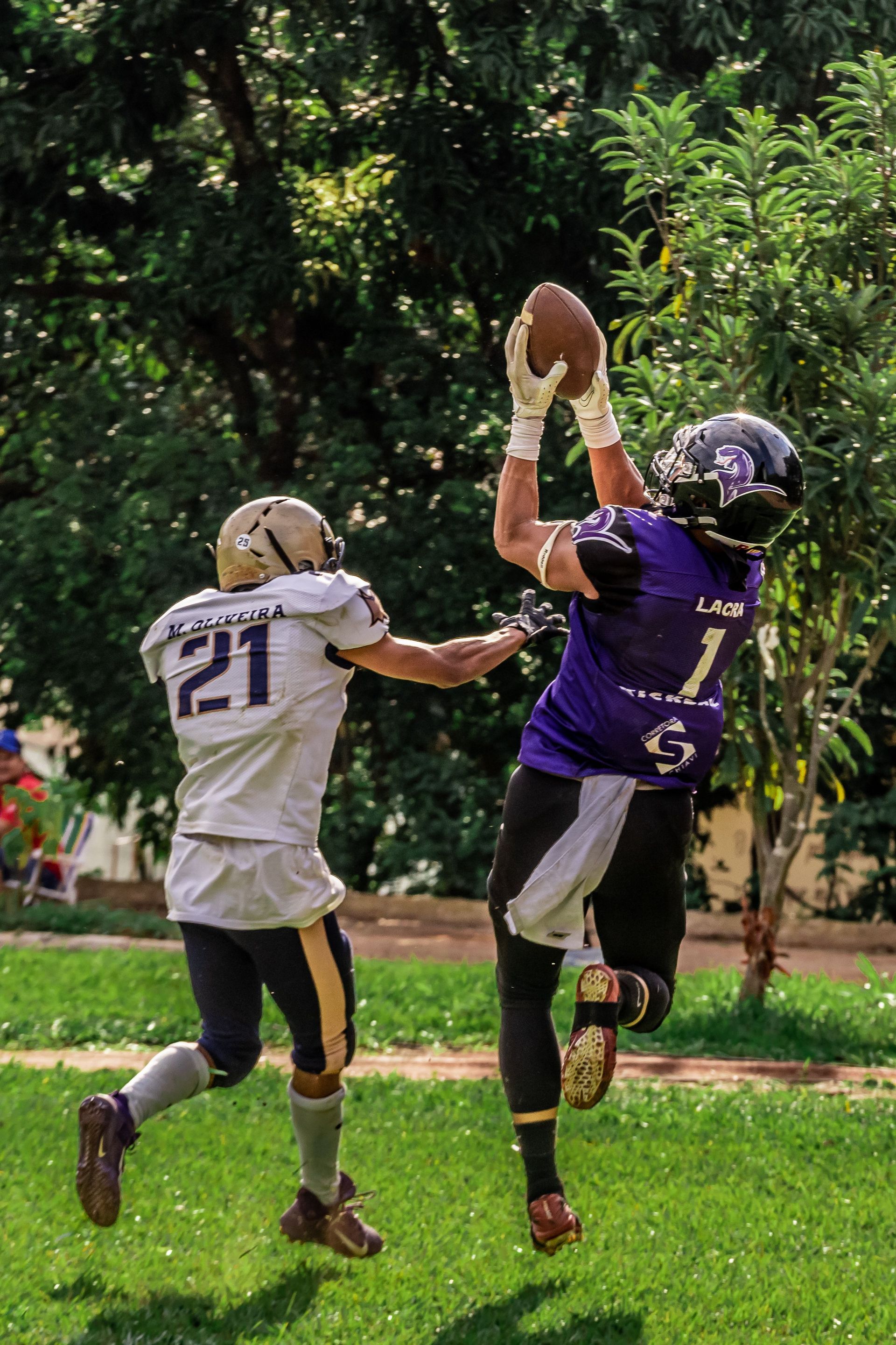 Two football players leaping for a catch on a grassy field, one in purple and one in white.