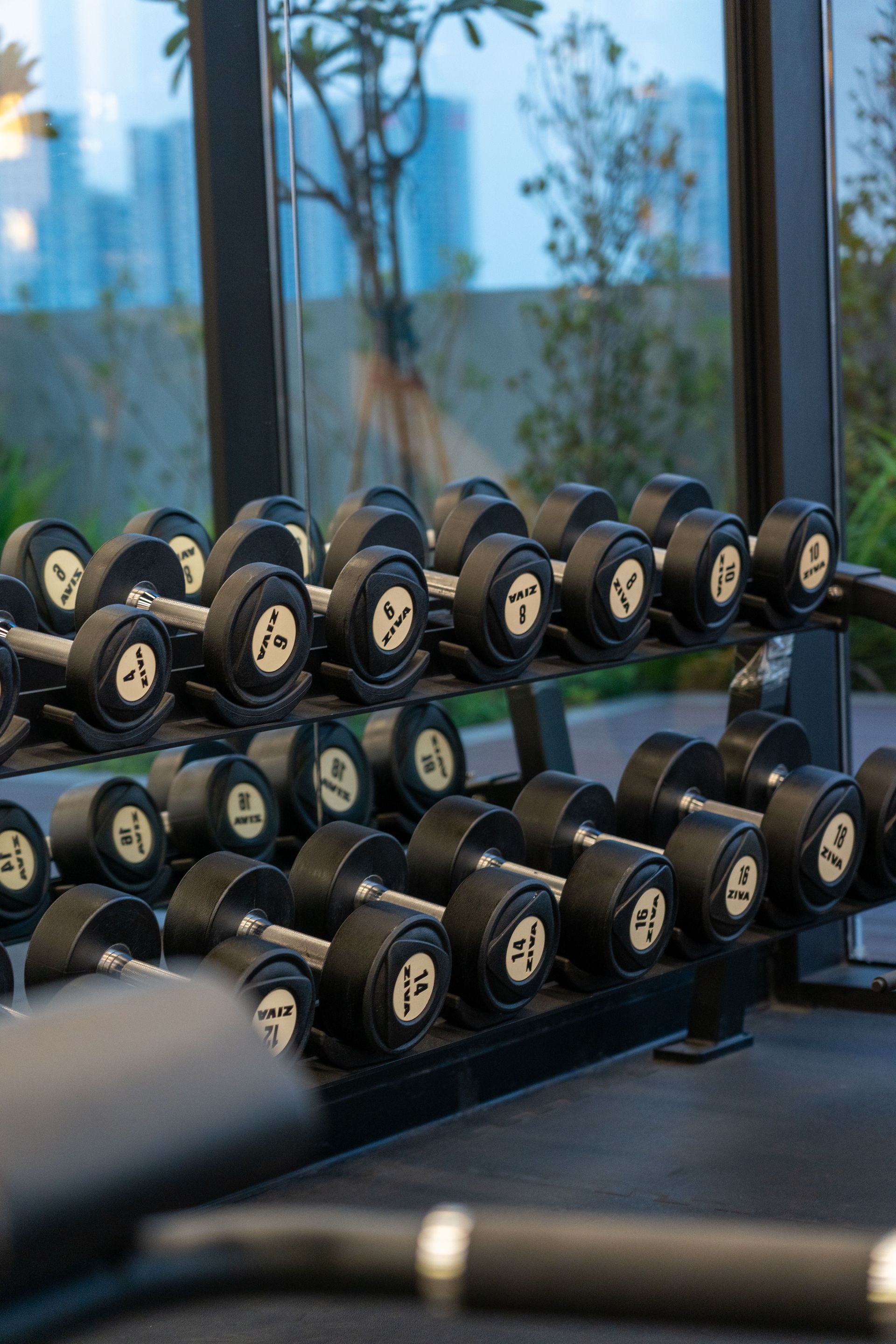 Rows of black dumbbells on a gym rack near a window with a blurred outdoor view