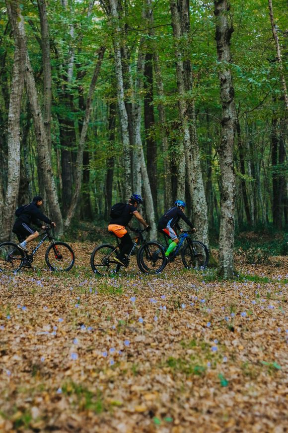 Tre ciclisti percorrono un sentiero immerso nel verde del bosco in autunno