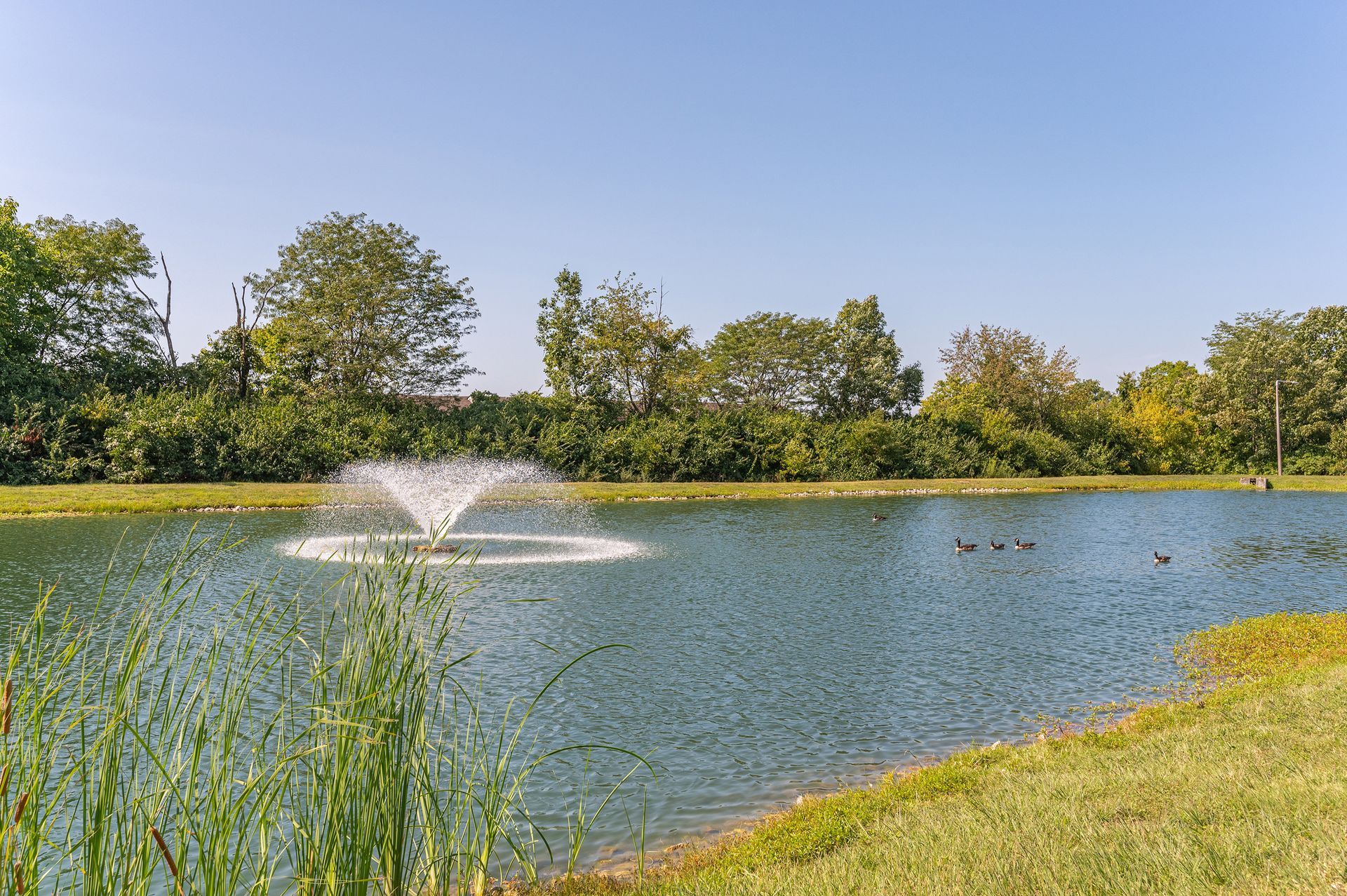 Scenic pond with water fountain at apartment community