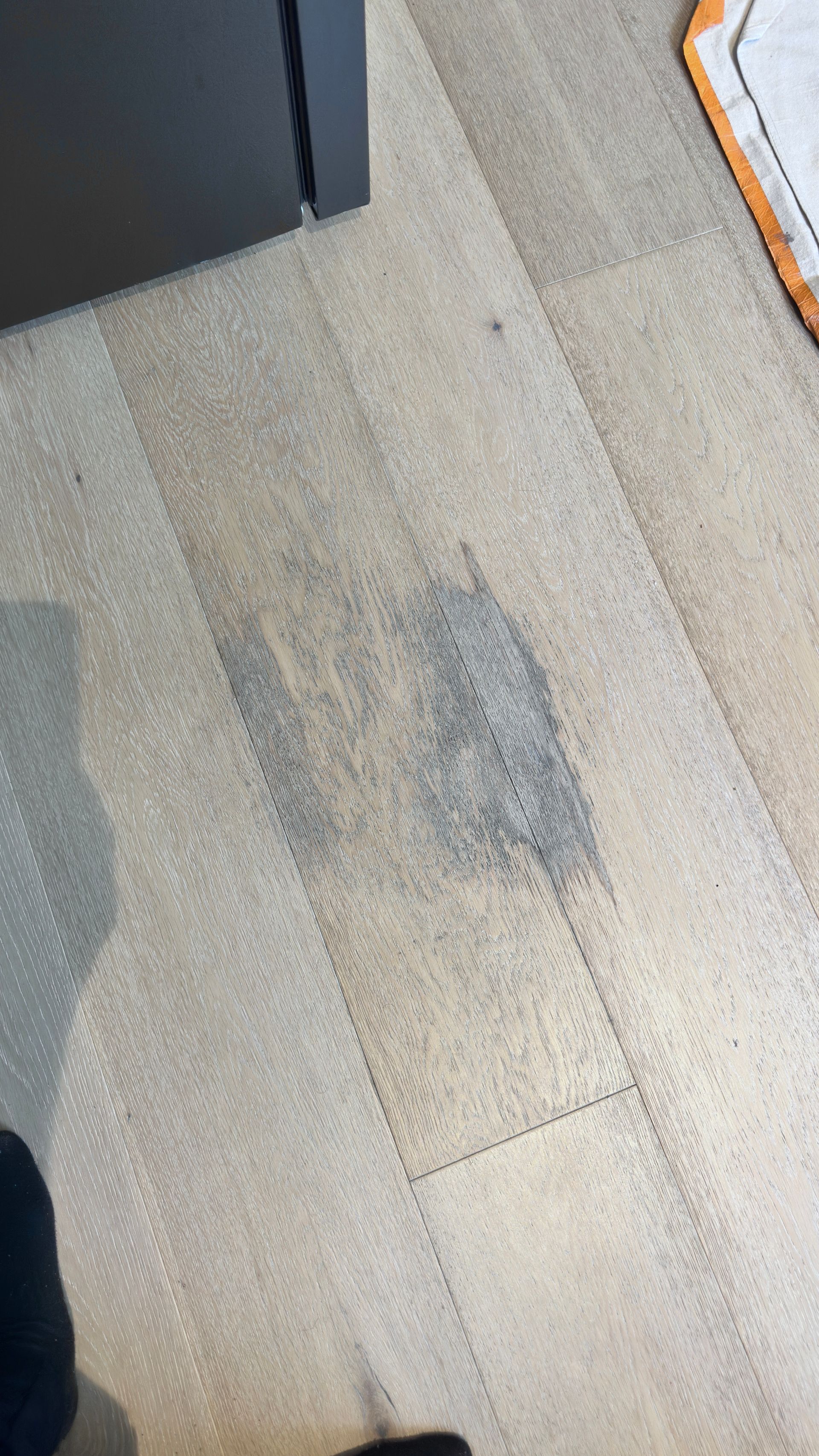 Timber floor repaired — before and after comparison