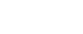 White blank rectangle with a thin black border along the bottom edge