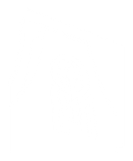 Blank white screen with a thin black vertical line near the right edge