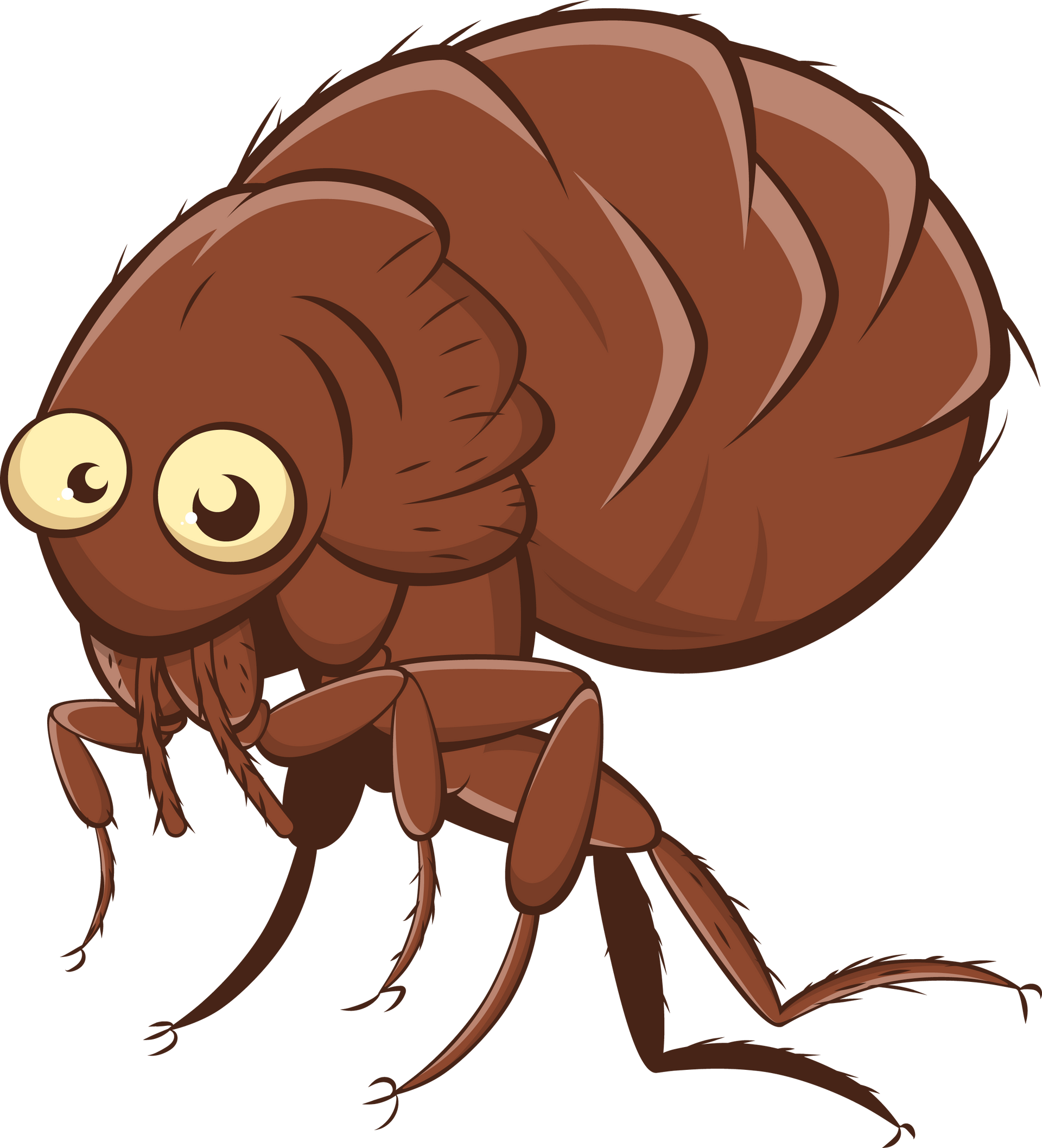 How Flea Control Works