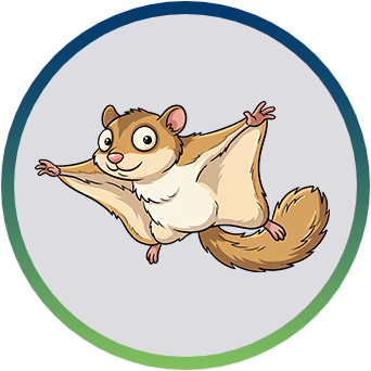Cartoon flying squirrel with outstretched limbs inside a blue and green circular border