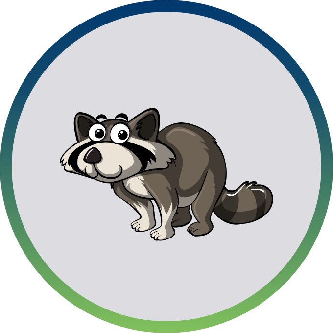 A cartoon raccoon with grey fur and a striped tail, centered inside a circular frame with a blue-to-green gradient border.