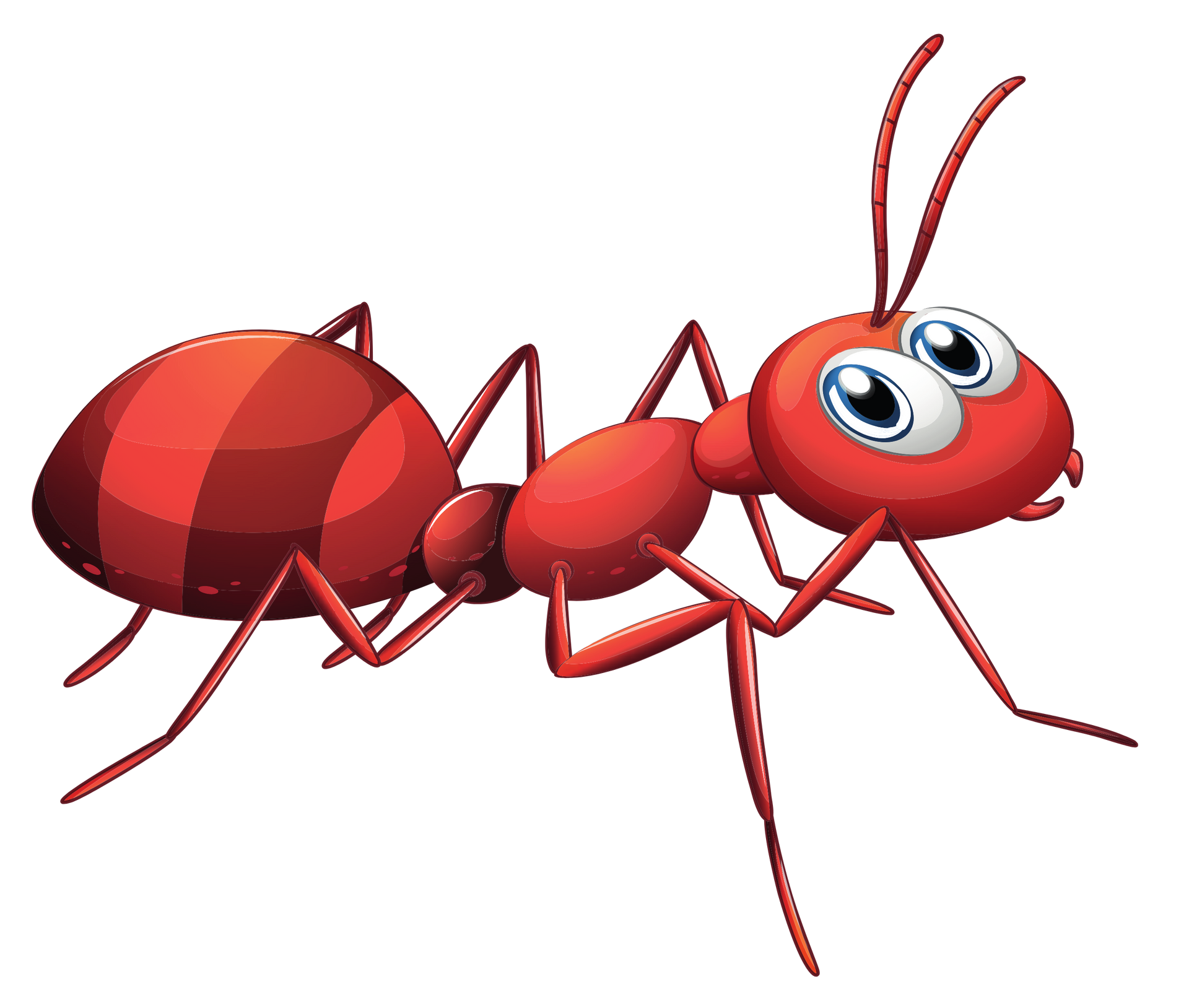 How Ant Control Works