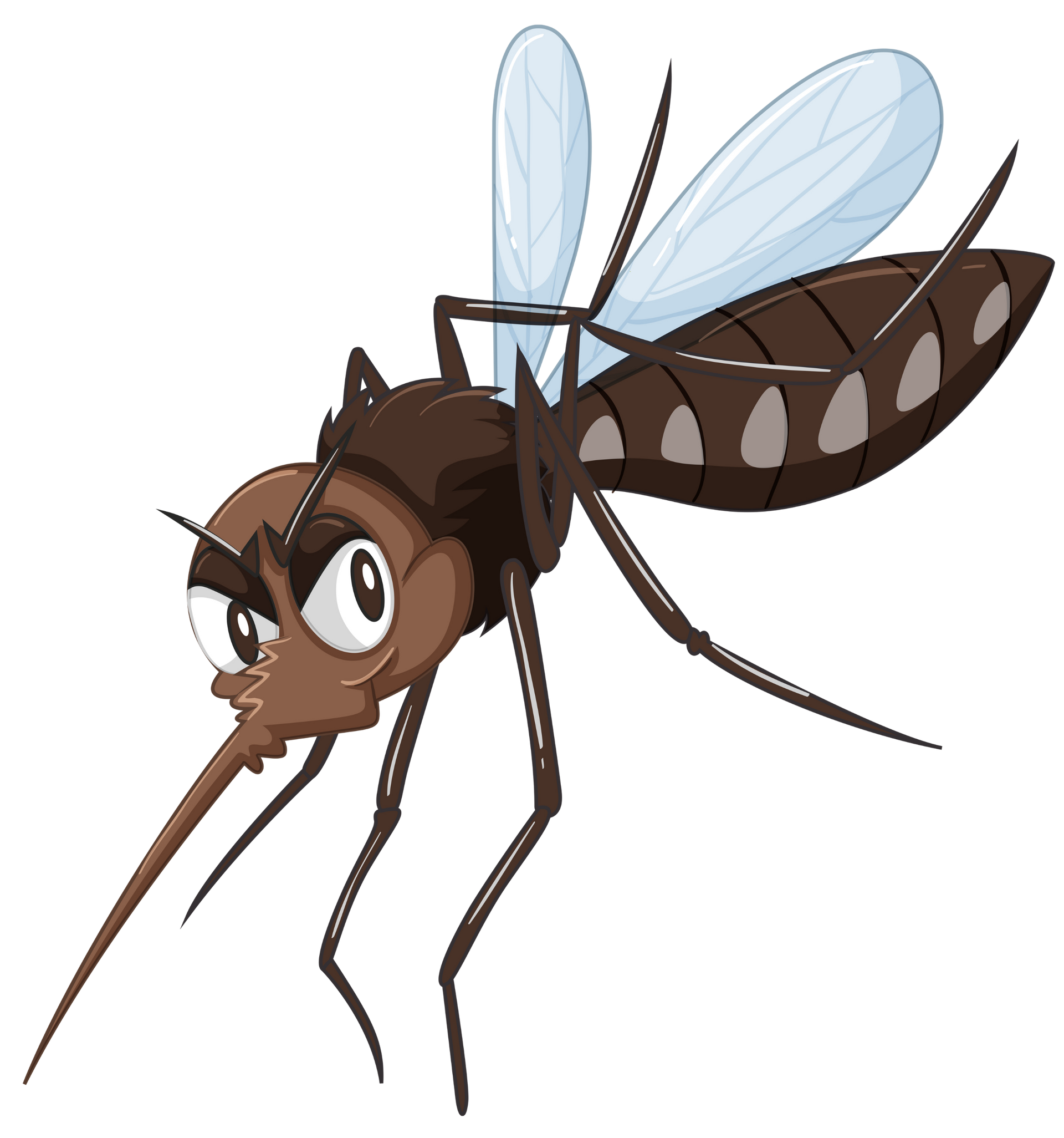 How Mosquito Control Works